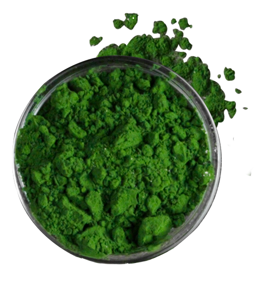 belcando-mastercraft-zutaten-Chlorella-Algen belcando-mastercraft-zutaten-Chlorella-Algen